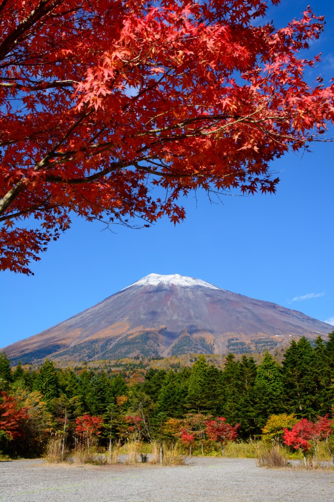スカイラインの富士山と紅葉
